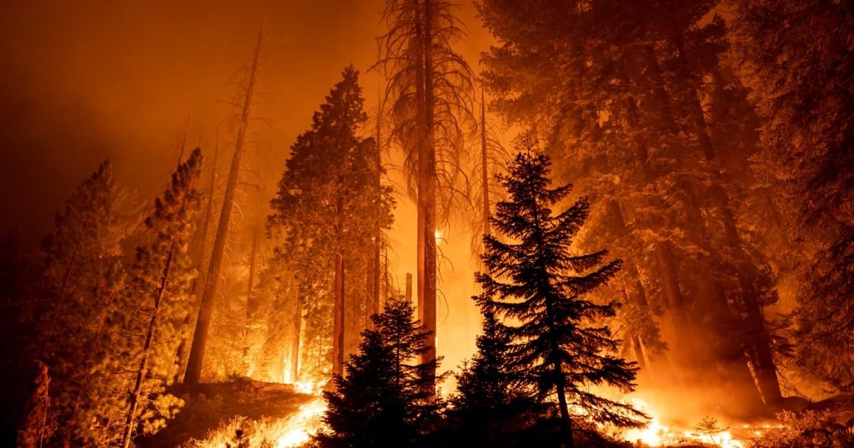 “Another Big Lie”: Trump’s EPA Plans to Stop Regulating Greenhouse Gases
