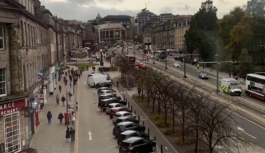 A year of elm row