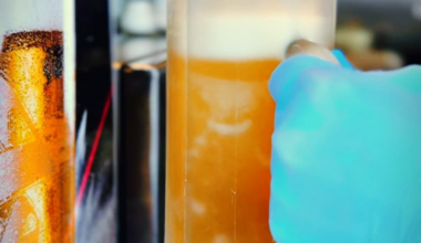 Coldest beer in London?