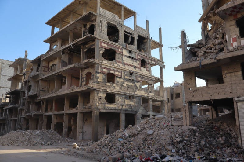 Damaged buildings in Yarmouk camp, 30/4/2025 (Natacha Danon/Syria Direct)