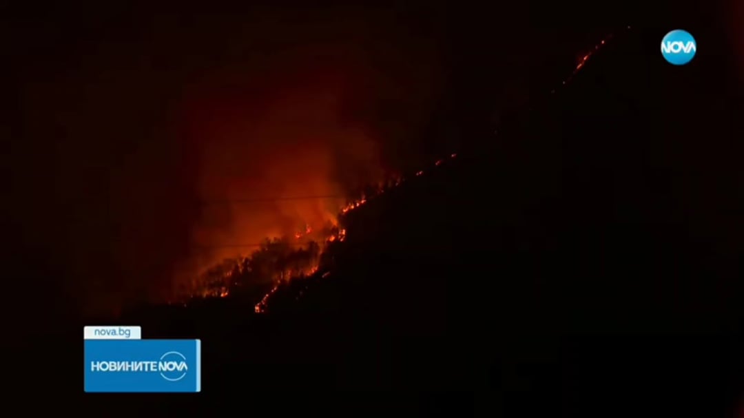 Трябва ли да върнем смъртната присъда за такива изчадия?