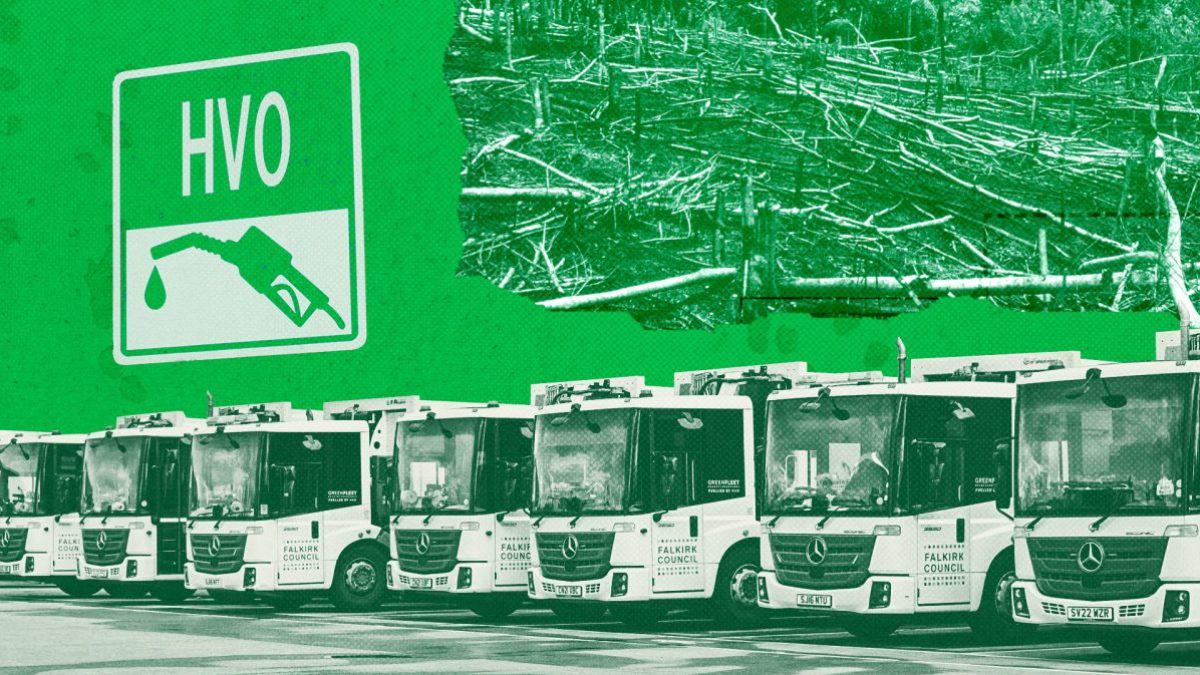 How fuel used in 'green' bin lorries could be destroying rainforests
