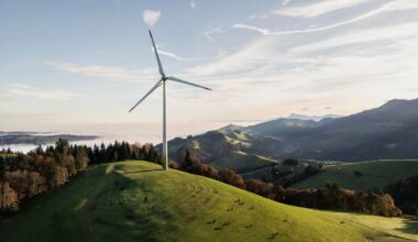 Swiss citizens will be voting on restricting wind farm expansion |On Friday, the Association for the Protection of Nature and Democracy submitted two people's initiatives aimed at curbing the expansion of wind farms. More than 110,000 signatures have been collected.