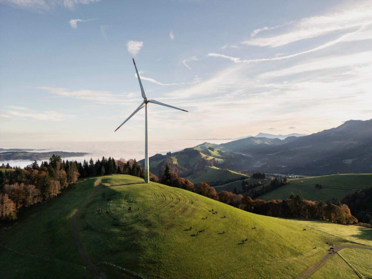 Swiss citizens will be voting on restricting wind farm expansion |On Friday, the Association for the Protection of Nature and Democracy submitted two people's initiatives aimed at curbing the expansion of wind farms. More than 110,000 signatures have been collected.