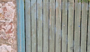 My father's back gate.