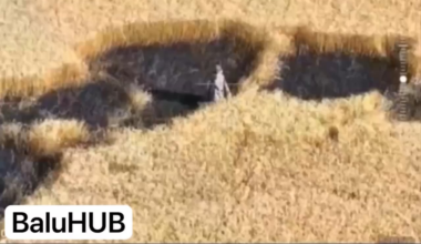 Footage of a Russian soldier wearing a heat-insulating anti-drone poncho trying to advance through a grain field during the day is getting hit by a Ukrainian FPV quad.