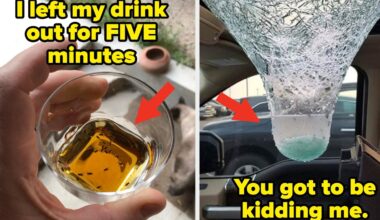 23 People Who Thought “What’s The Worst That Could Happen?” And Then Pretty Much Immediately Found Out