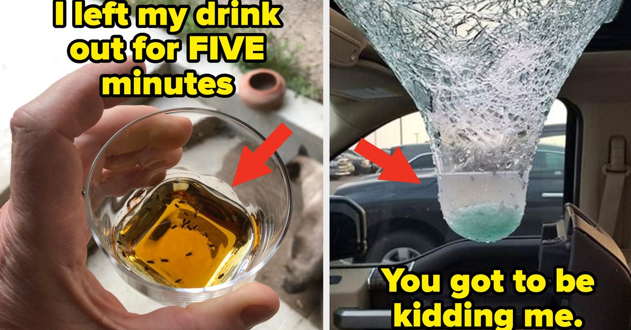 23 People Who Thought “What’s The Worst That Could Happen?” And Then Pretty Much Immediately Found Out