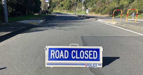 Rail suspended after car lands on tracks, hit by train in Wellington