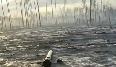 There used to be a green forest here, but now there are only shell craters. Death and decay is all that remains. Everything Russia touches dies. The war zones resemble dead fields where there is nothing alive. Ukraine is paying an extremely high price for its freedom.