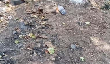 A russian invader tried to mock destroyed "NATO" equipment, unaware it was actually an R-330BMV electronic warfare system from the russian arsenal