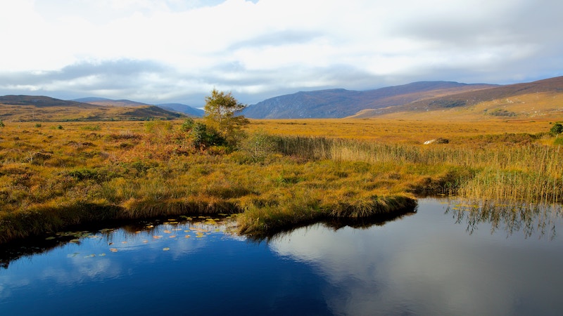 Ignoring Peatlands Could Derail Climate Goals – Eurasia Review