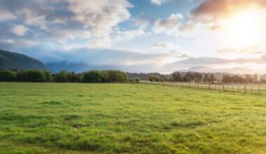 Southland farm owner who exploited migrant workers hit with more fines
