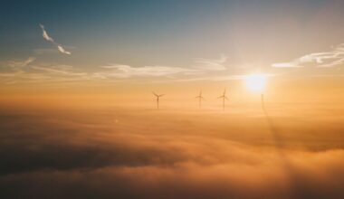 We Can Save Our Earth: Environment Opportunities 2025