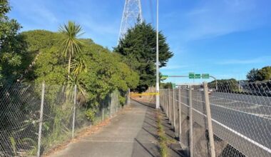 Potentially deadly pipe bombs found by body near Auckland motorway