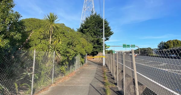 Potentially deadly pipe bombs found by body near Auckland motorway