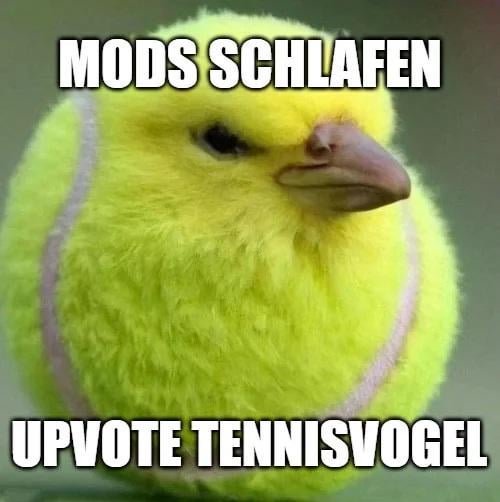 ⠀