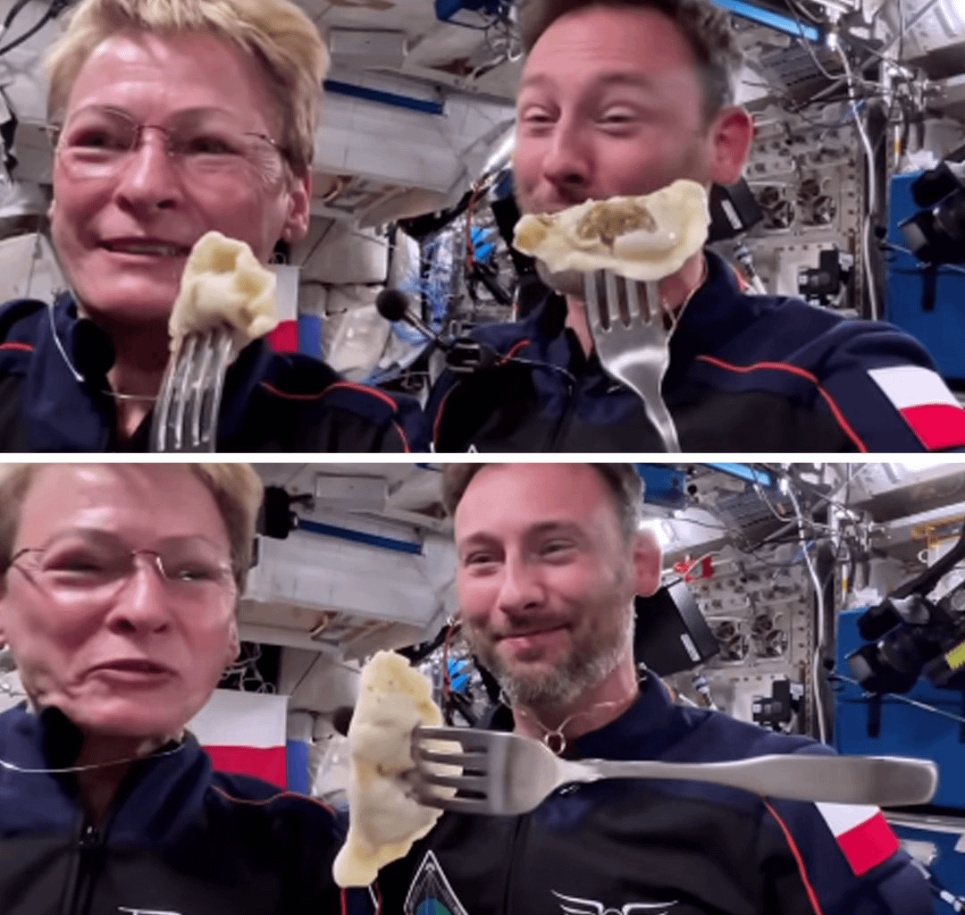 Pierogi finally into space!