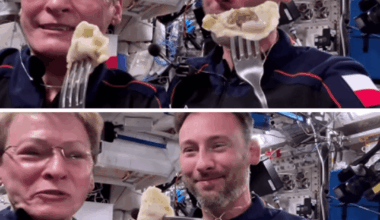 Pierogi finally into space!