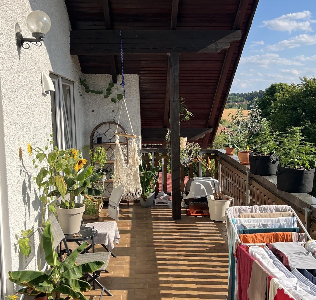Erster Sommer auf unserem Balkon.