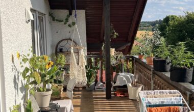 Erster Sommer auf unserem Balkon.