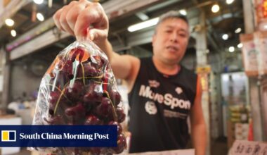 HK$40 cherries in Hong Kong? Why US-China trade war means sweet savings