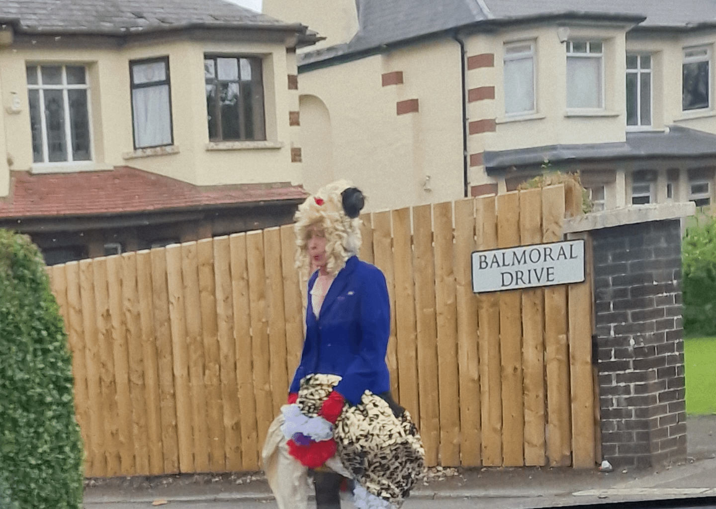 Anyone else ever spotted the Balmoral Avenue flasher?