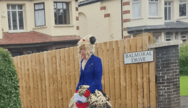 Anyone else ever spotted the Balmoral Avenue flasher?