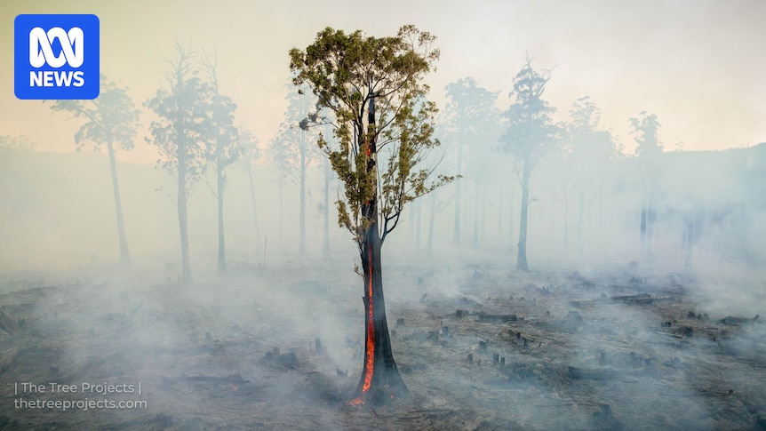 Environmental issues sidelined in Tasmanian state election