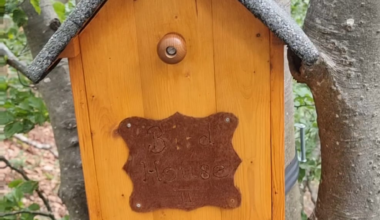 I found a hidden birdbox while hiking near Olten that contained a bottle of Grappa and drinking glasses