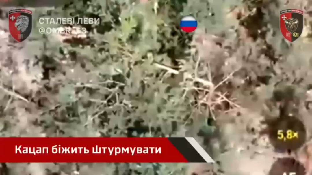 A russian invader assaulted Ukrainian positions but was hit by small arms fire and blew himself up with his own grenade