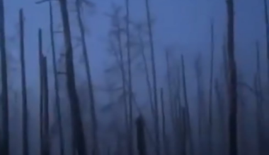 The atmosphere in the Serebryansky forest. [Ukrainian POV]