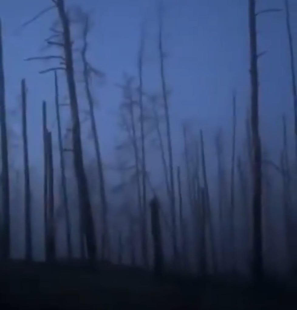 The atmosphere in the Serebryansky forest. [Ukrainian POV]