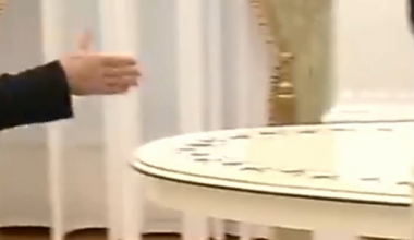 The wormy fruit of a rotten tree. This is not a metaphor, but rather the true essence of Russia.