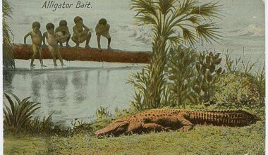How Trump’s “Alligator Alcatraz” Revives Racist Propaganda in Immigration Crackdown