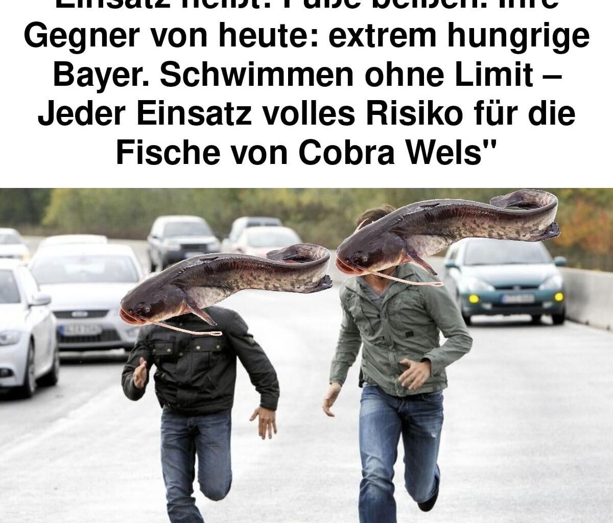 Ich🚔iel