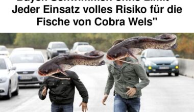 Ich🚔iel