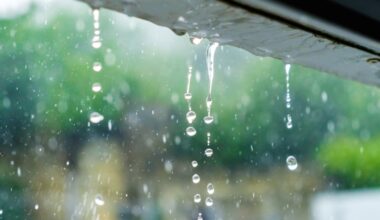 Environment Canada issues special weather statement for Sault Ste. Marie and surrounding areas
