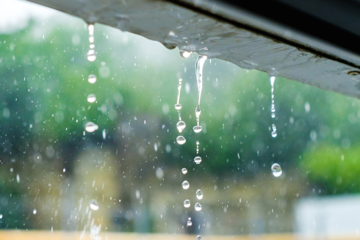 Environment Canada issues special weather statement for Sault Ste. Marie and surrounding areas