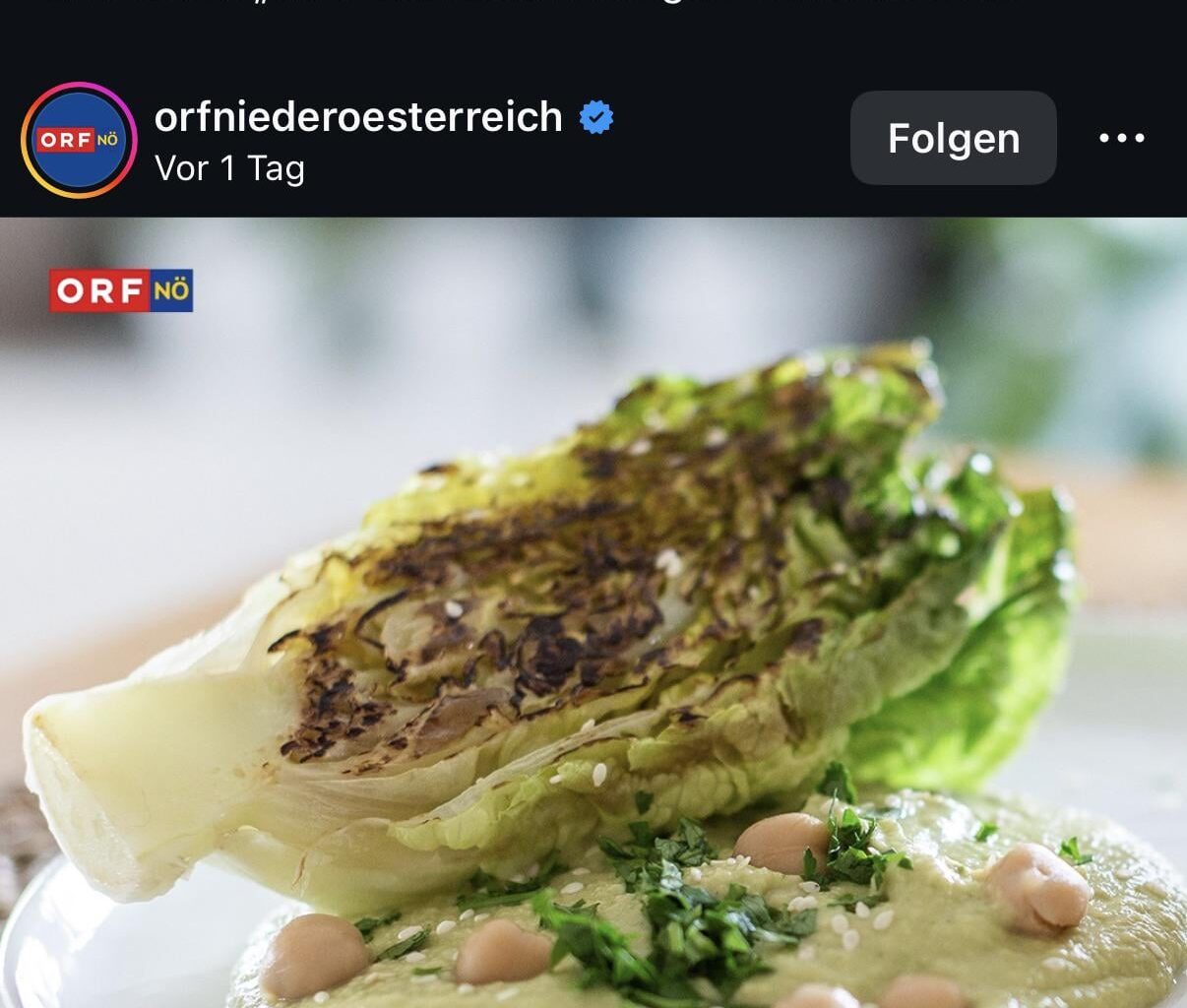 Großes Interesse an vegetarischer Kochlehre in Ö, NÖ: hold my Schnitzel