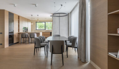natural finishes and modern lines at amalia savu's romania house