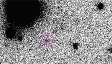 "Ammonite": A New 380-Kilometer World Has Been Found Inside Our Solar System