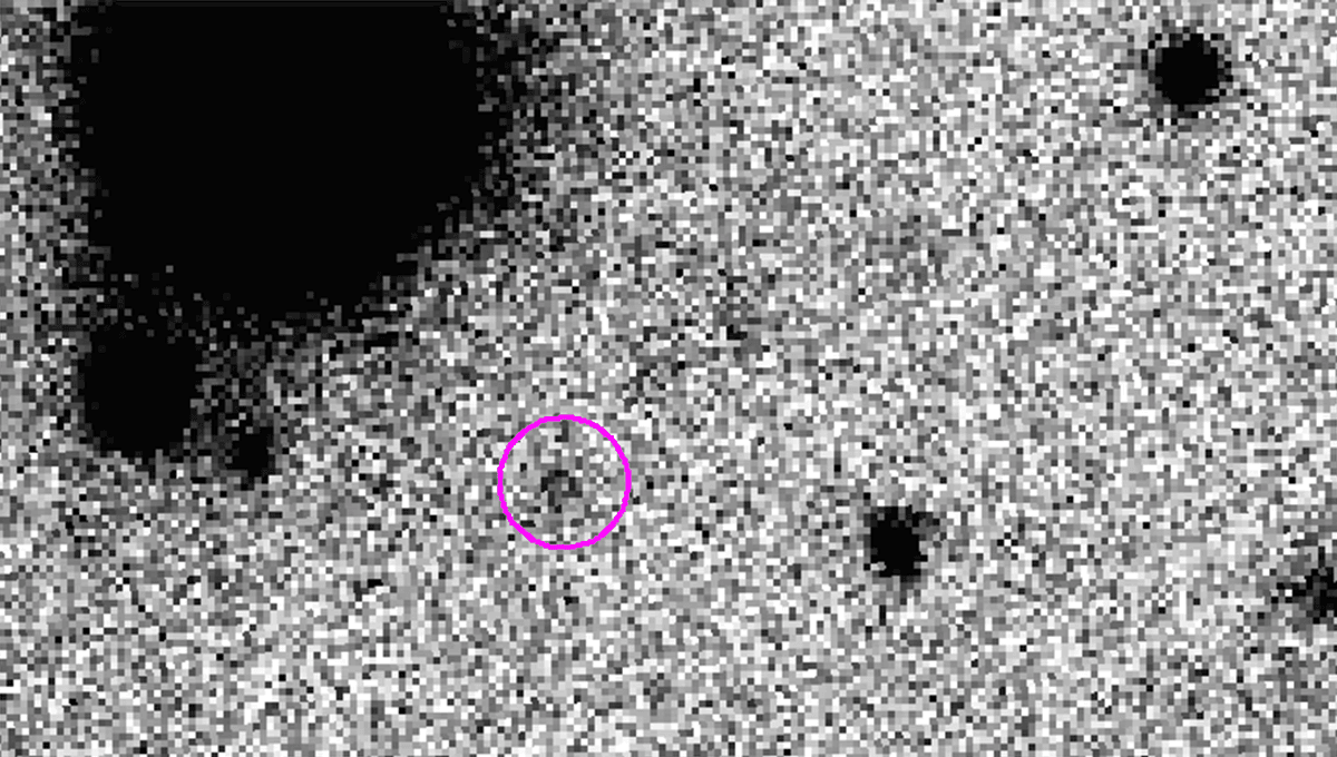 "Ammonite": A New 380-Kilometer World Has Been Found Inside Our Solar System