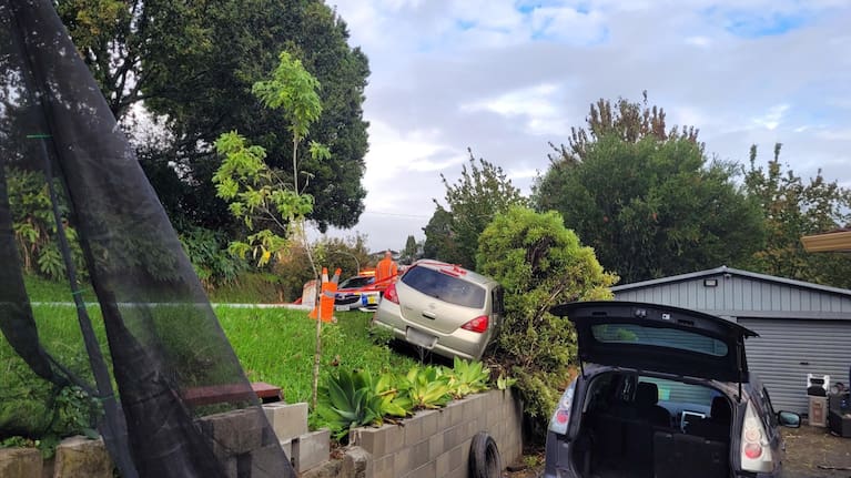 Another crash that damaged a streetlight and trees of a home in Courtney Rd in Gate Pā.