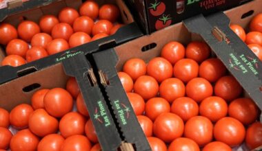 Trump administration imposes 17% tariff on fresh Mexican tomatoes