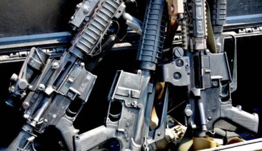 Sweden: ban on AR-15s for hunting