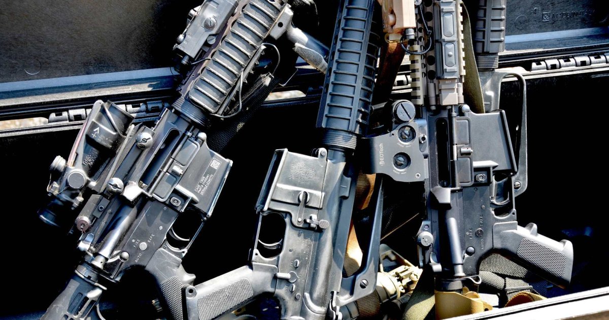 Sweden: ban on AR-15s for hunting