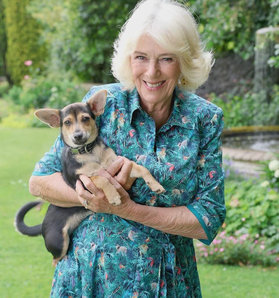 New photo of the Queen with her rescue puppy Moley