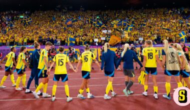Svenska fansen hyllas av spelarna i fotbolls-EM: ”Gåshud”