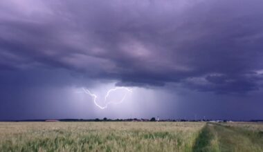 Regen in Deutschland: Hat der Regen die Elbe gerettet? | Leben & Wissen